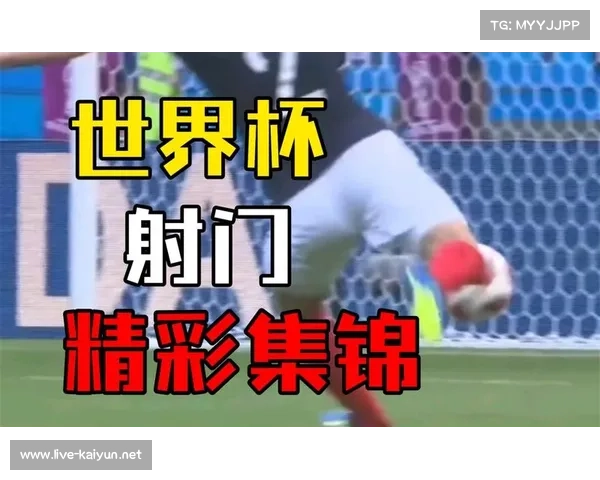 2016年足球世界杯精彩回放精彩瞬间尽在2018世界杯视频全纪录 2016年足球世界杯精彩回放精彩瞬间尽在2018世界杯视频全纪录